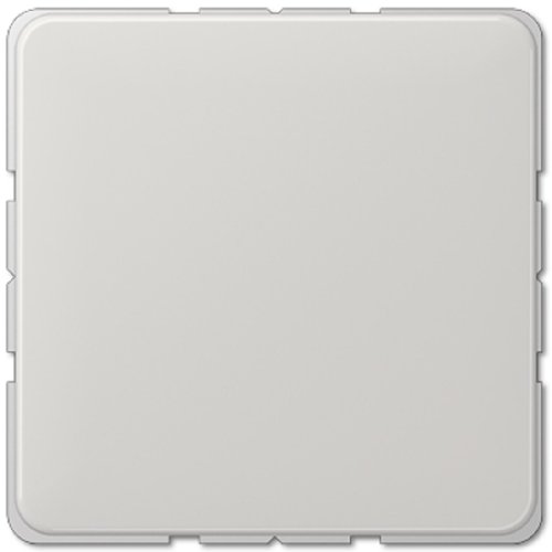 Заглушка без рамки Jung CD500 светло-серый картинка